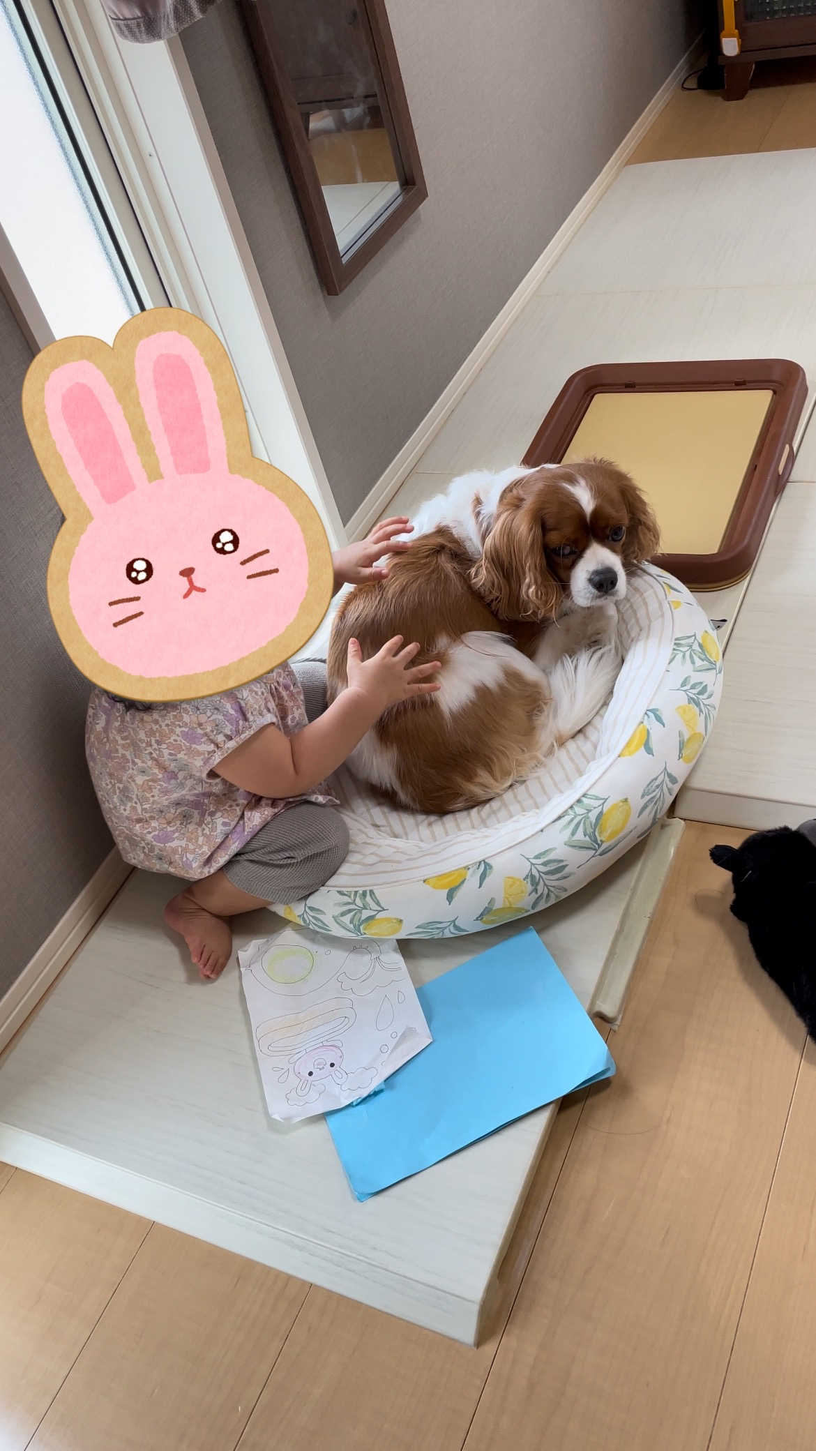 子供と犬