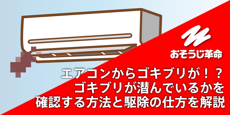 エアコンからゴキブリが！？ゴキブリが潜んでいるかを確認する方法と駆除の仕方を解説【おそうじ革命】の外観