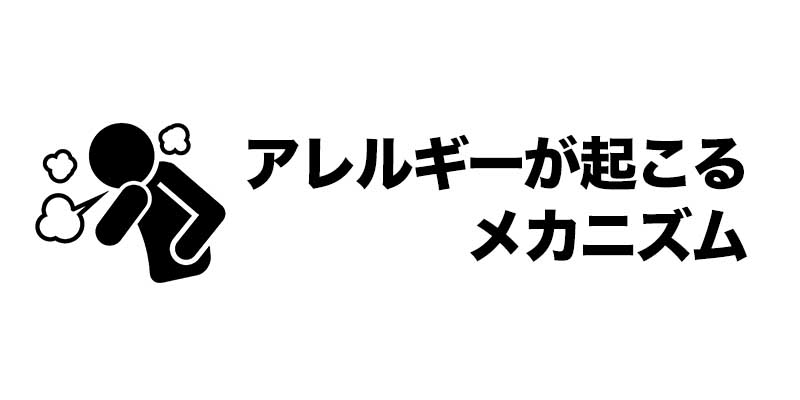 アレルギーが起こるメカニズム